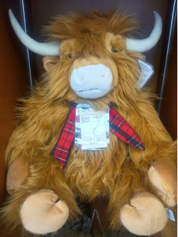Angus No 131