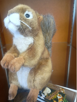 Hansa Red Squirrel Hansa Red Squirrel