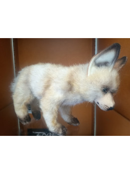 Hansa Bat Eared Fox Hansa Bat Eared Fox