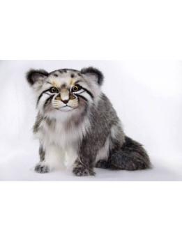 Hansa Pallas Cat Hansa Pallas Cat