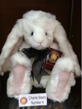 Magicians Nephew No. 4