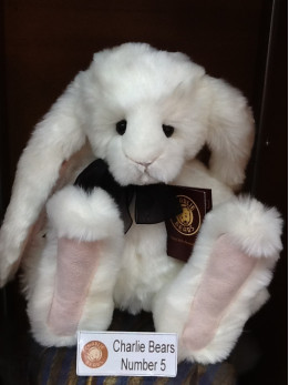 Magicians Nephew No. 5