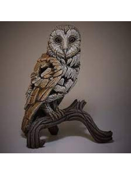 Edge Barn Owl